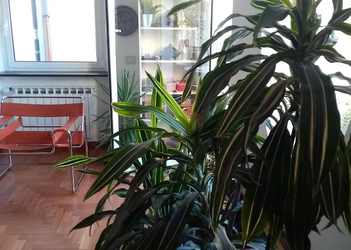 La Terrazza * Genova