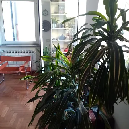 La Terrazza * Cenova