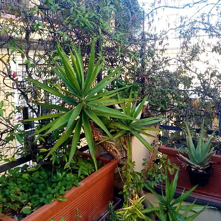 La Terrazza * Genua