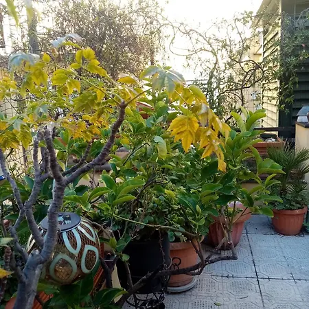 La Terrazza