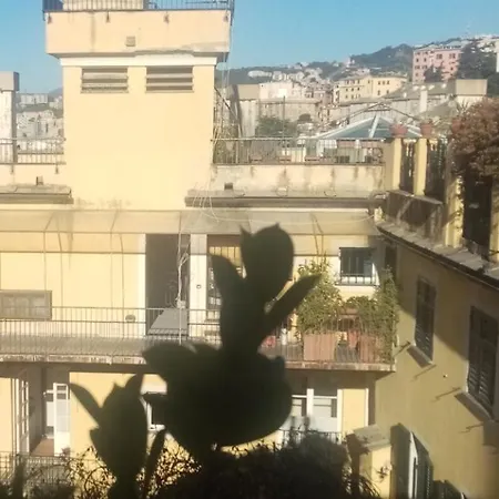 La Terrazza *